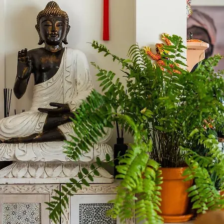 Seeds Of Silence Boutique Wellbeing Near Olhao Faro 4* Quelfes