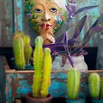 Seeds Of Silence Boutique Wellbeing Near Olhao Faro 4* Quelfes
