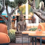Seeds Of Silence Boutique Wellbeing Near Olhao Faro